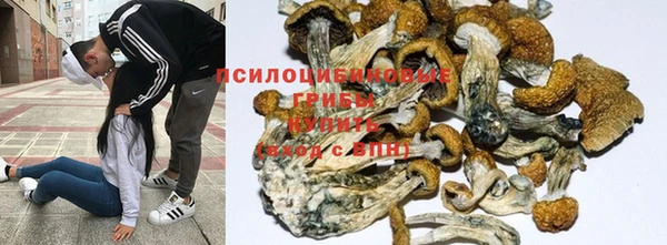 дживик Баксан