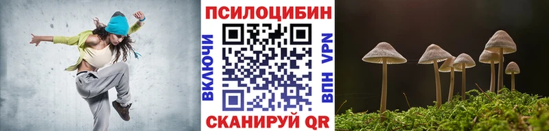 Галлюциногенные грибы Cubensis  где найти   Навашино 